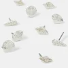 Accessorize 5-Pack Seashell Stud Earrings Silver