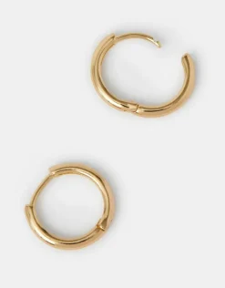 Accessorize Small Hoop Earrings